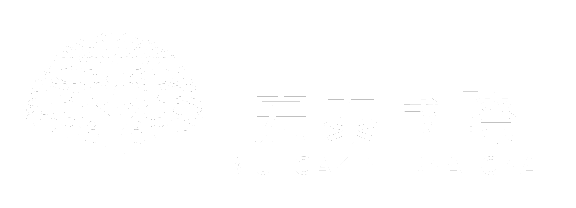 宏泰國際 BLUE OAK INTERNATIONAL